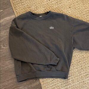 Brown alo crewneck